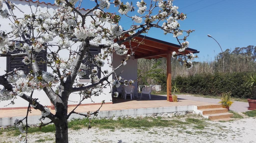 B&B Arcafelice Termoli Zewnętrze zdjęcie